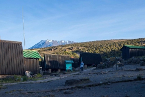 7 jours d'ascension du Kilimandjaro par la route de Lemosho