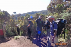 7 Tage Machame Route Kilimandscharo Besteigung
