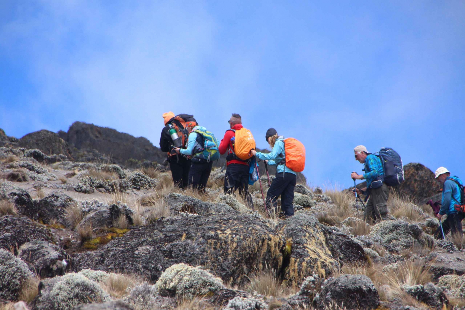 7 dagers gruppebestigning av Kilimanjaro på Machame-ruten