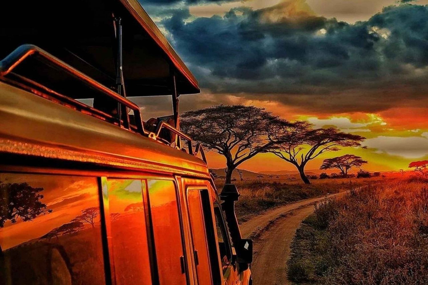 7 Days Mid - Range Lodge Tanzania Safari