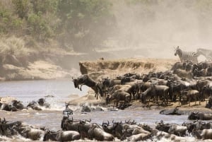 Safari budgétaire de groupe de 8 jours à travers le Kenya et la Tanzanie
