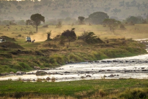 8-Day Offer for Great Migration and Mara River Crossing