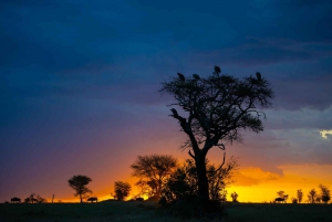 8-Day Offer for Great Migration and Mara River Crossing