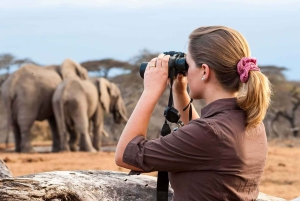 8 dagar: Safaritur i Tanzania från Zanzibar