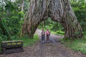 8 dagen comfortabele safari + wandeltocht.