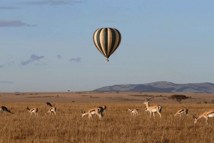 8 dagars safari i Östafrika: Från Masai Mara till Serengeti