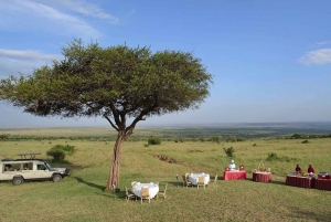 8 Days East African safari: From the Masai Mara to Serengeti
