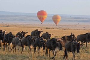 8 Days Kenya & Tanzania private budget camping