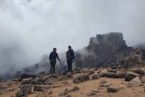 8 days Kilimanjaro Climbing Lemosho route
