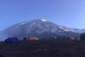 8 Days Kilimanjaro Trekking Adventure, Lemosho Route for all