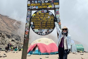 8 Days Kilimanjaro Trekking Adventure, Lemosho Route for all
