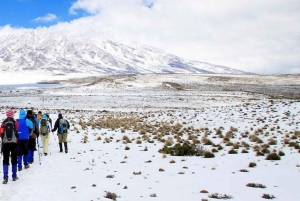 8 Days Kilimanjaro Trekking Adventure, Lemosho Route for all