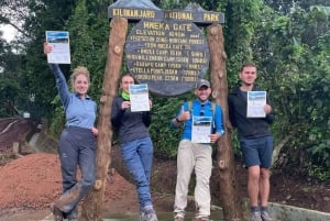 8 Days Lemosho Route Mount Kilimanjaro Trekking