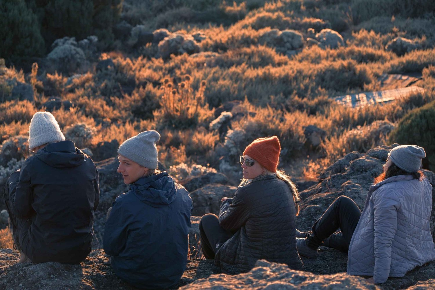 8 dagers Lemosho-rute – toppen av Kilimanjaro på nyttårsaften 2026