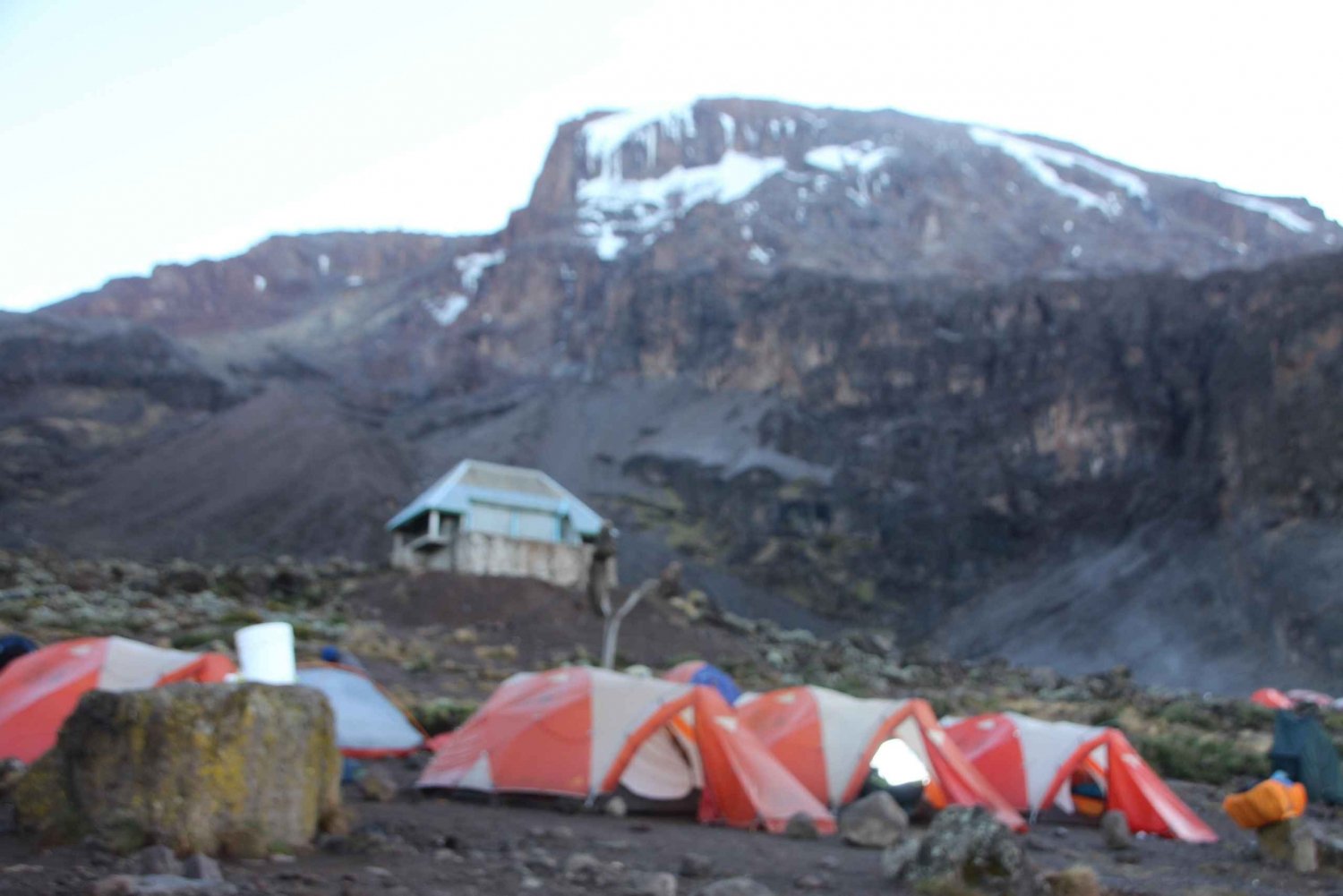 8 päivän Kilimanjaro-kiipeilyretki Lemoshon reitin kautta