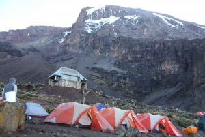 8 dagers bestigningstur til Kilimanjaro via Lemosho-ruten