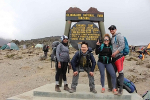 8 jours d'ascension du Kilimandjaro par la route de Lemosho