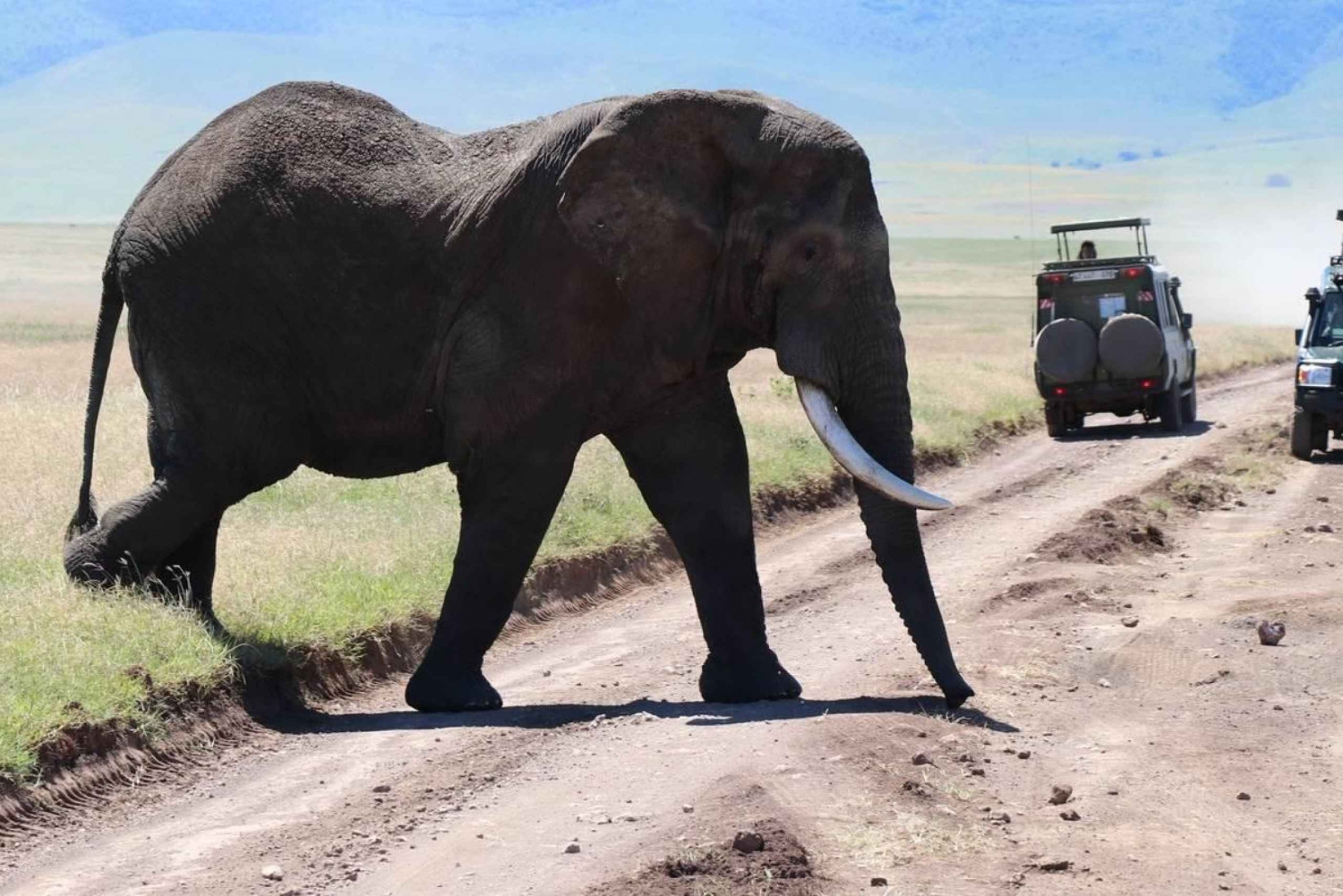 8 dage Nakuru, Masai Mara, Serengeti, Ngorongoro & L Manyara