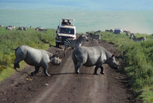 8 Days Signature Tanzania Safari