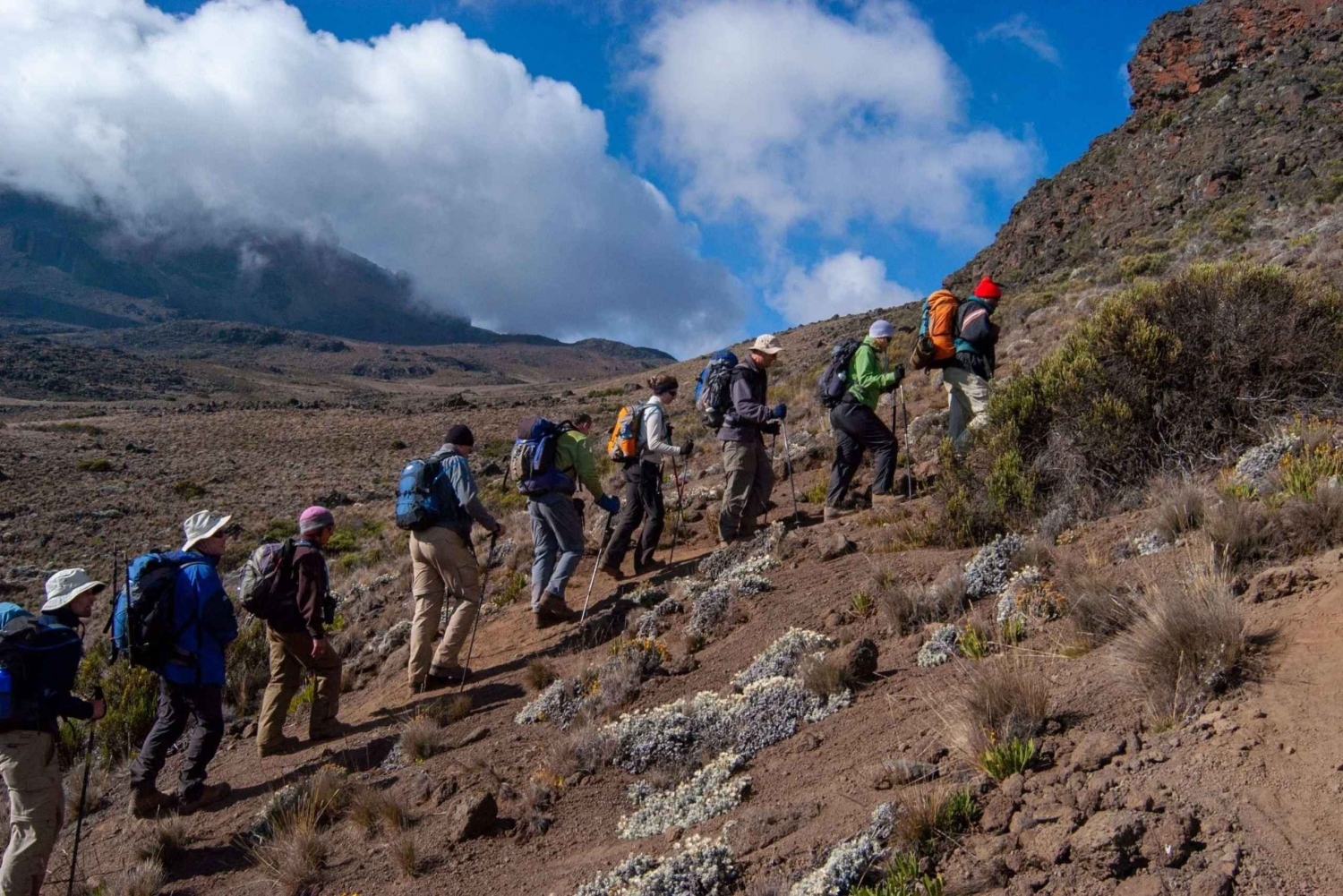 8vrk Kilimanjarolle kiipeily - Lemoshon reitti