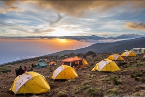 Scalata di 9 giorni del Monte Kilimanjaro attraverso la via del Circuito Settentrionale