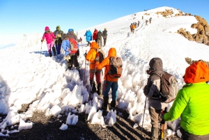 9 Days Mount Kilimanjaro Climbing – Northern Circuit Route