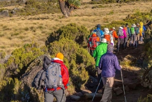9 Days Mount Kilimanjaro Climbing – Northern Circuit Route