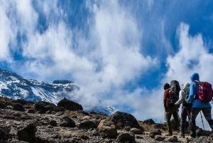 9 Days Mount Kilimanjaro Climbing – Northern Circuit Route