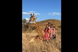 UN GIORNO DA SERVAL WILDLIFE