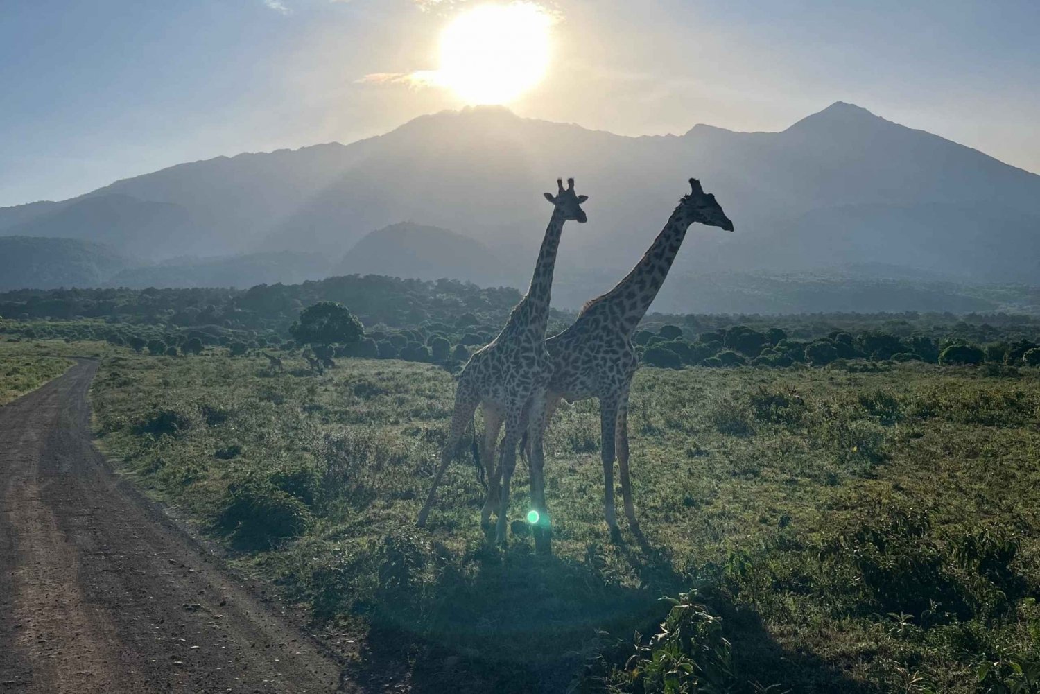 A Day in Arusha National Park - Single-Day Trip