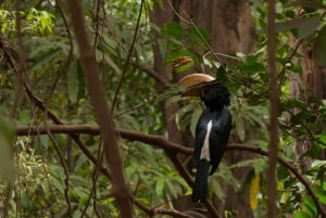 Dzień w Parku Narodowym Lake Manyara