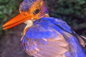 A Day in Paradise: Discovering the Magic of Pemba Island