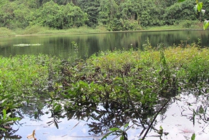 A Day in Paradise: Discovering the Magic of Pemba Island