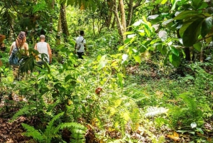 A Day in Paradise: Discovering the Magic of Pemba Island