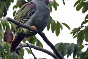 A Day in Paradise: Discovering the Magic of Pemba Island