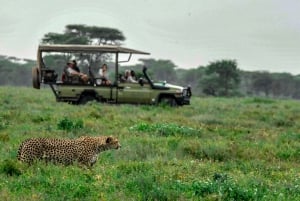 A Taste of the Savanna Safari (Add-on Tanzania)