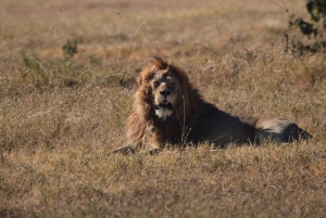 A Taste of the Savanna Safari (Add-on Tanzania)