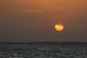 A Traditional Day in Zanzibar And Sunset Tour