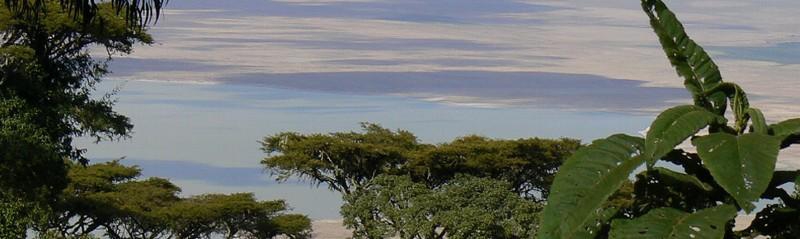 Abrojaley Africa Ajabu