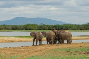 Avventura LGBTQ: 4 giorni di safari in aereo nel Parco nazionale di Nyerere