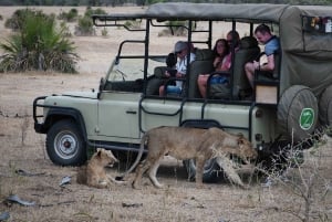 Avventura LGBTQ: 4 giorni di safari in aereo nel Parco nazionale di Nyerere