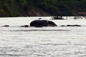 Avventura LGBTQ: 4 giorni di safari in aereo nel Parco nazionale di Nyerere