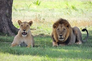 Amazing North Tanzania