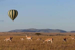 Amboseli; 2-dniowe safari do parku Amboseli z Nairobi.