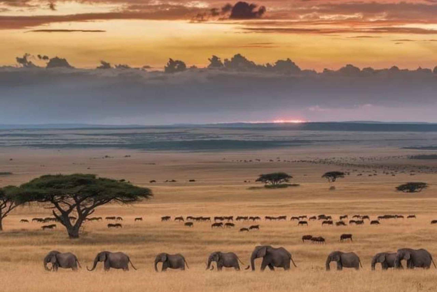 AMBOSELI: 3 DAYS AMBOSELI BUDGET GROUP JOINING SAFARI