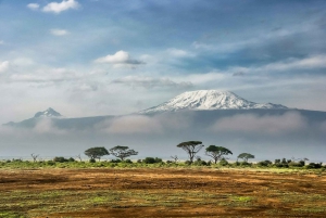 Parco Nazionale Amboseli: Tour di un giorno intero da Nairobi