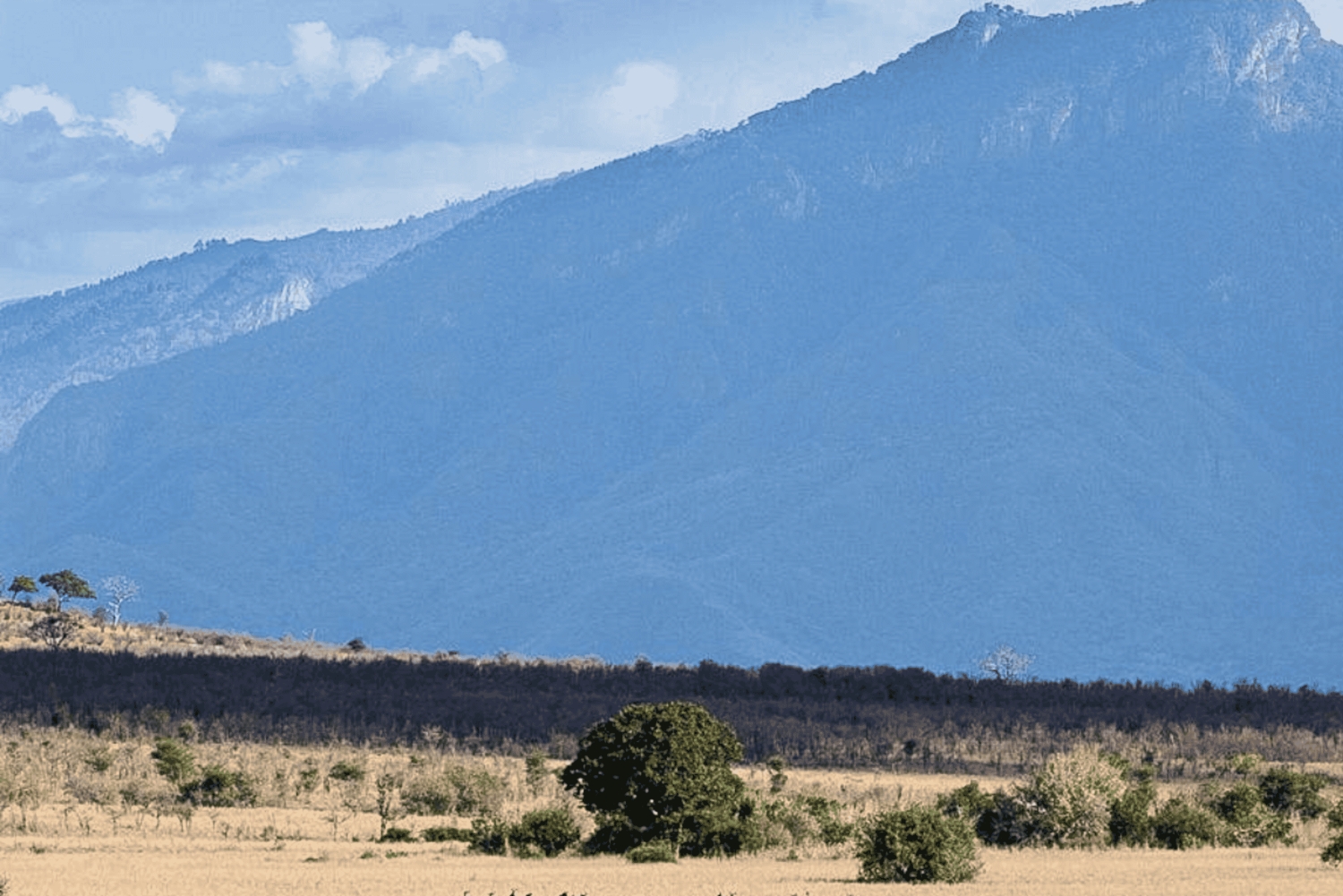 Arusha: 2-Day Arusha and Mkomazi National Park Safari