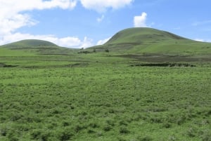 Arusha: 2-dniowe safari w Arusha i Parku Narodowym Mkomazi