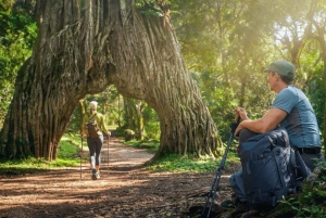 Arusha: 2-Day Arusha and Mkomazi National Park Safari