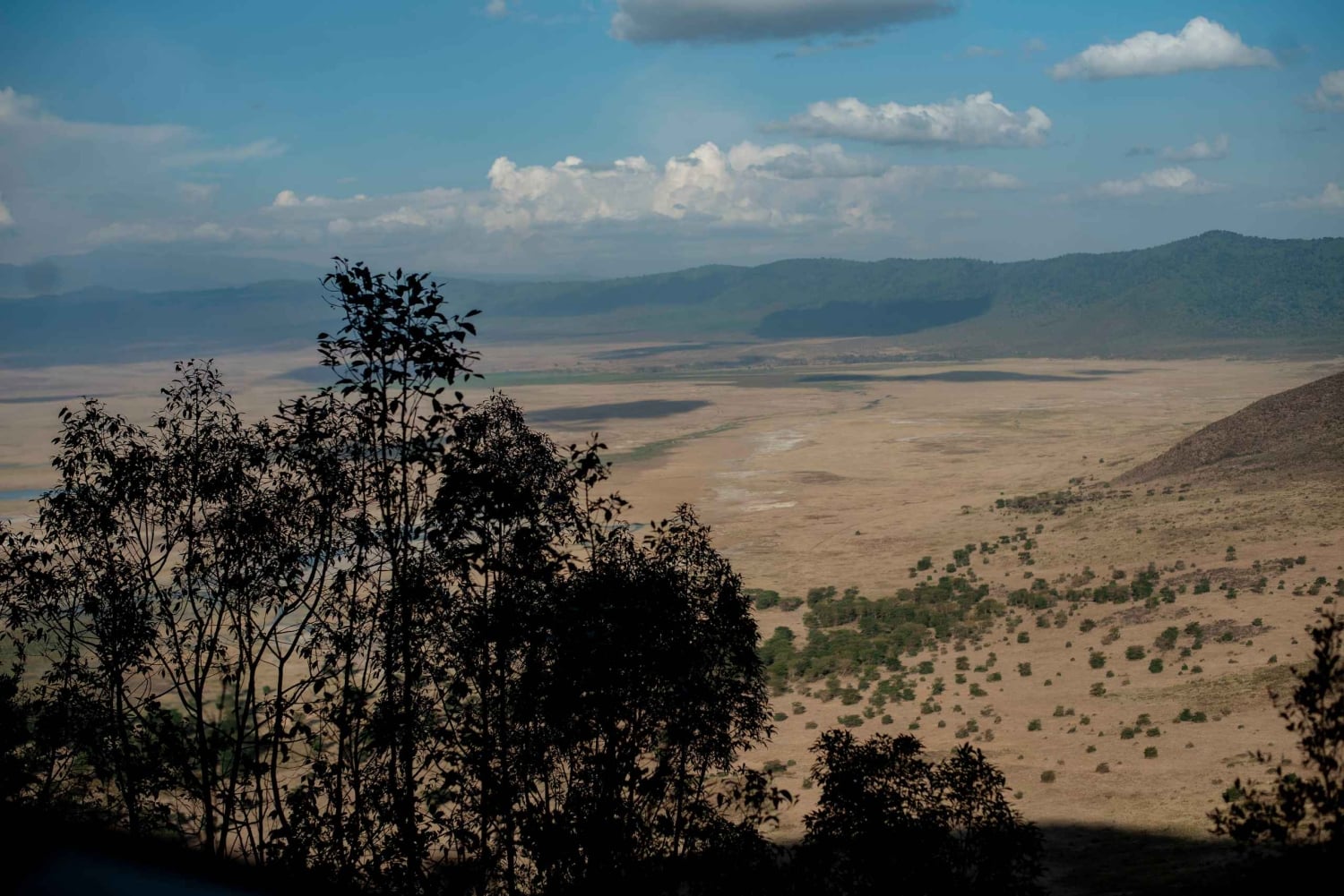 Arusha: 2-tägige Safari zum Manyara-See und Ngorongoro-Krater